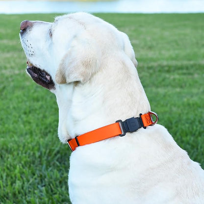 Dogline Biothane Waterproof Dog Collar with Herm Sprenger Stainless Steel Quick Release Buckle – Heavy Duty Tactical Durable Collar for Dogs – Comfortable and Safe Pet Collar, W 1" L 15-25", Orange