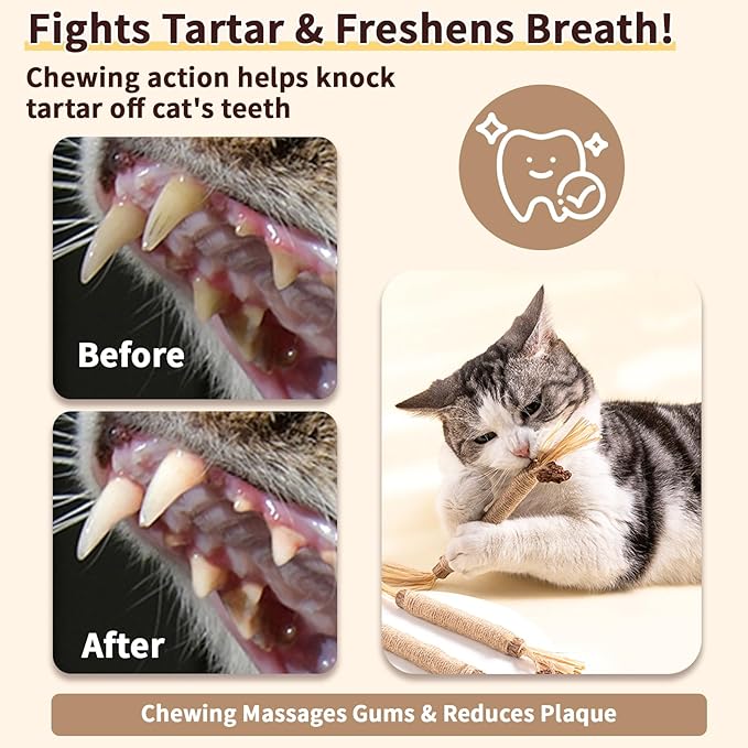 6 Pack Silvervine Cat Chew Toys, Natural Dental Sticks for Indoor Cats, Kittens Teeth Cleaning, Catnip Alternative, Interactive Play, Yellow