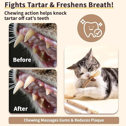 6 Pack Silvervine Cat Chew Toys, Natural Dental Sticks for Indoor Cats, Kittens Teeth Cleaning, Catnip Alternative, Interactive Play, Yellow