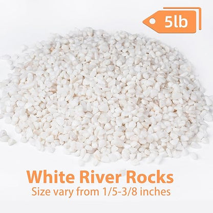 5 lbs White Aquarium Gravel, 1/5 Inch White Rocks for Plants, Small Pebbles for Vases, Succulents, Bamboo, Natural Decorative Pebbles for Plants Drainage, Cactus, Crafts