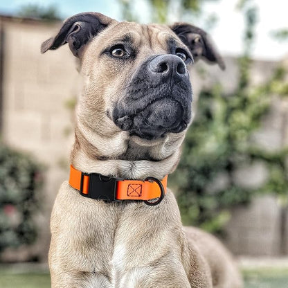 Dogline Biothane Waterproof Dog Collar with Quick Release Buckle Strong Coated Nylon Webbing with Odor- Proof for Easy Care Easy to Clean Fits Small Medium Large Dogs, Orange 5/8" W 9-14" L