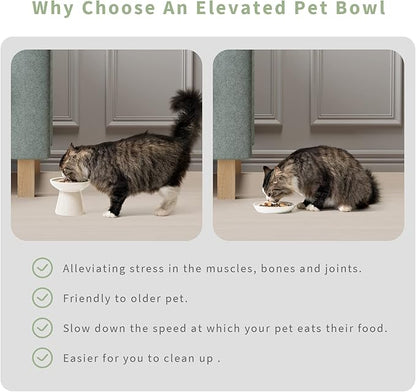 Extra Wide Elevated Ceramic Cat Bowl, 6.2" Shallow Dish for Whisker Fatigue Relief, 5" Height for Easy Feeding, Durable Raised Cat Food Bowls, Pack of 2, White