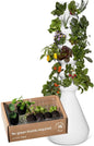 Farmstand Starter Kit + 36 Seedling Credits | Large Hydroponic Growing System Kit | Self-Watering Outdoor Vertical Garden Planter Tower | 6ft 1in | Made in USA