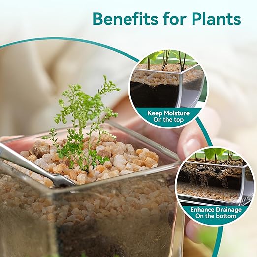 5 lbs Coarse Sand for Plants, 1/5 Inch Horticultural Sand for Vases, Aquariums, Terrarium, Fish Tank, Drainage Rocks for Potted Plants, Bamboo, Succulent, Crafts, Cactus