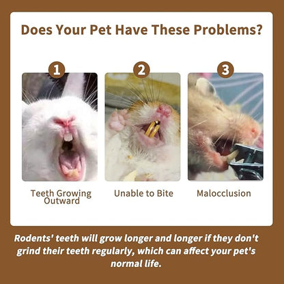 Fhiny 12 PCS Rabbit Chew Sticks, Natural Papaya Wood Seagrass Guinea Pig Chew Toys for Teeth Small Animal Molar Sticks Snacks for Bunny Guinea Pig Chinchilla Ferret Hamster Gerbil Dental Care