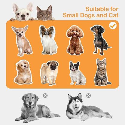 Dog Ramp Doggie Stairs with Seat Mate,Puppy Chair Get on High Bed Couch Office Window Perch,Non Slip Dachshunds Foldable Ladder,Pet Doggy Step for Small Old Dogs,Chihuahua Cat Platform Grey