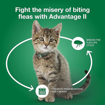 Advantage II Small Cat Vet-Recommended Flea Treatment & Prevention | Cats 5-9 lbs. | 12-Month Supply