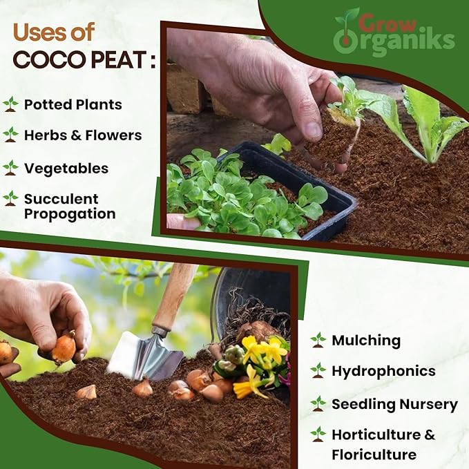 2 Pack Premium Coco Coir Brick for Plants | 100% Organic Compressed Coconut Coir Bricks Starting Mix, Coco Coir Fiber Coconut Husk for Planting, Gardening, Potting Soil Substrate, Herbs, 1.4 LB/Brick