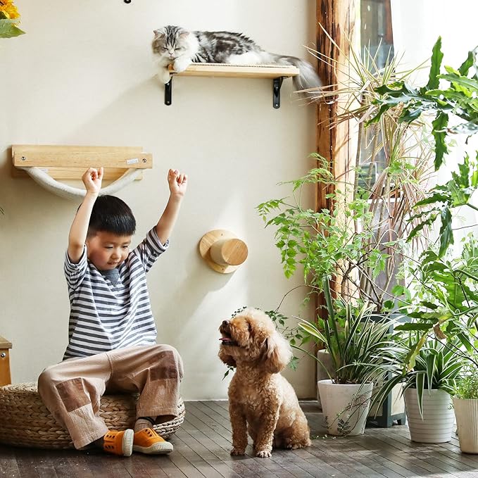 FUKUMARU Cat Wall Furniture, 11.8 Inch Cats Steps for Drywall, Kitten Stairs for Wall Mounted with Jute Scratching Kittens Shelf, 2 of Pack