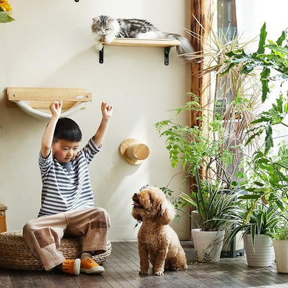 FUKUMARU Cat Wall Furniture, 11.8 Inch Cats Steps for Drywall, Kitten Stairs for Wall Mounted with Jute Scratching Kittens Shelf, 2 of Pack