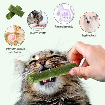 225g Cat Grass Teething Stick, Delicious Cat Treat Snack Edible Cat Chew Toy for Teeth Cleaning and Hairball Removal in Cats