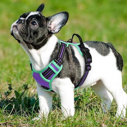 Eagloo Dog Harness Small Sized Dog, No Pull Service Vest with Reflective Strips and Control Handle, Adjustable and Comfortable for Walking, No Choke Pet Harness with 2 Metal Rings, Purple & Green, S