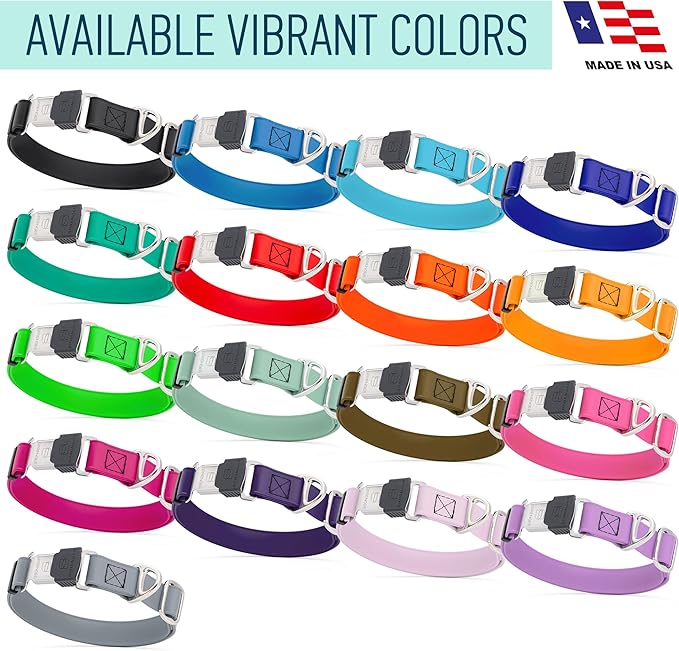 Dogline Biothane Waterproof Dog Collar with Herm Sprenger Stainless Steel Quick Release Buckle – Heavy Duty Tactical Durable Collar for Dogs – Comfortable and Safe Pet Collar, W 3/4" L 12-19", Red