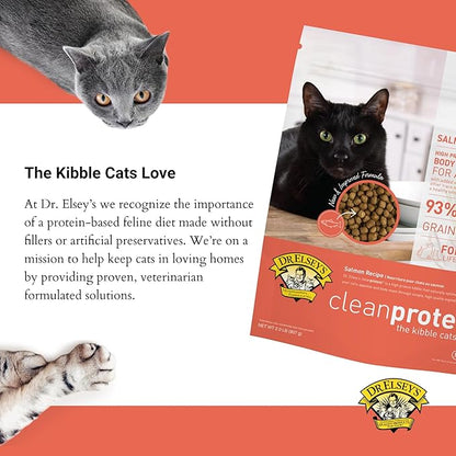 Dr. Elsey'S Cleanprotein Salmon Formula Dry Cat Food, 2 Pound (Pack of 1)