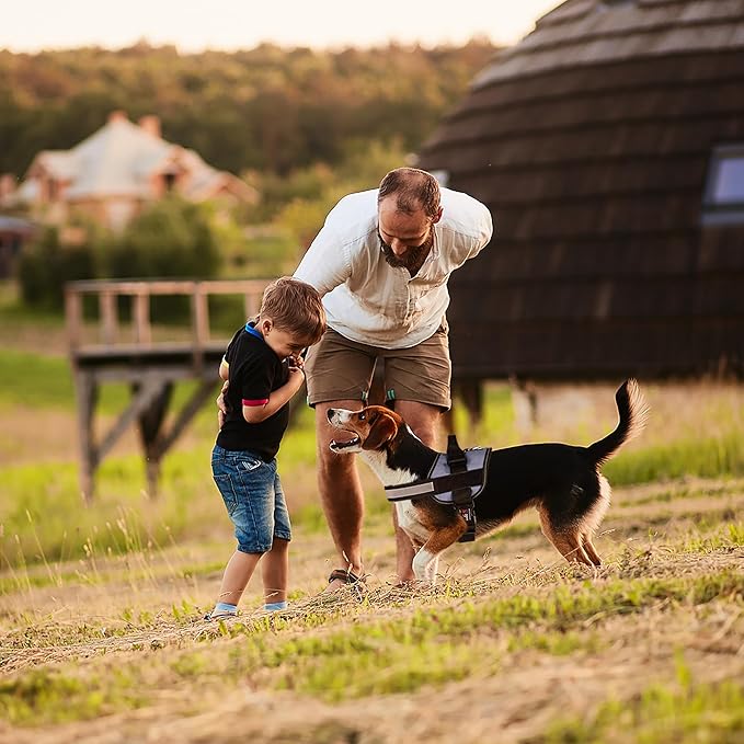 Dogline Dog Harness, Reflective No-Pull Adjustable Vest with Handle for Walking, Training, Service Breathable No - Choke Harness for Small, Medium or Large Dogs Room for Patches Grey S 18"-24"