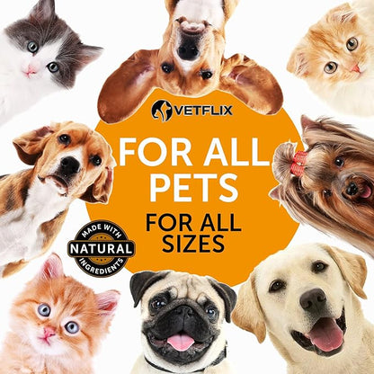 Allergy Immune Anti Itch & Hot Spots - Made in USA Natural Pet Supplement for Cat & Dog Allergy Relief with Turmeric & Milk Thistle -Seasonal Allergies Digestive Treatment for Dogs & Cats - 2 Fl Oz