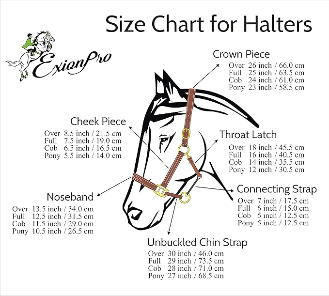 Exion Leather Horse Halter with Padding & Clincher Studs – Adjustable Quick‑Release Crownpiece Halter for Horses – Vegetable‑Tanned Leather in Black & Brown – Cob, Full & Oversize