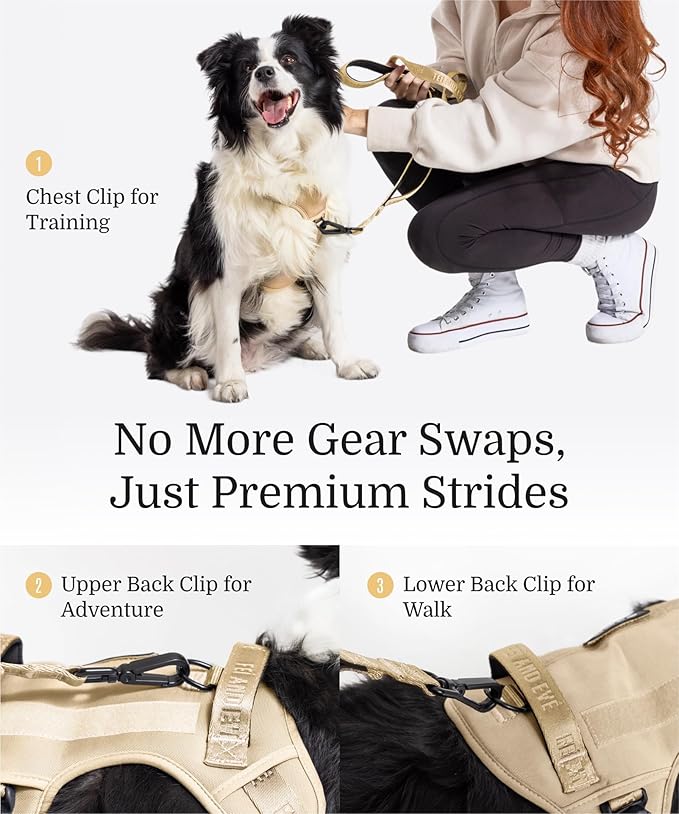 2025 New Edition, Fei & Eve MagEase Dog Harness - 3-Second Magnetic Buckles | 3-Point No-Pull Control | Heavy-Duty 900D Nylon | Dual Safety Handles | Breathable Mesh | Adjustable Fit, Medium,Champagne