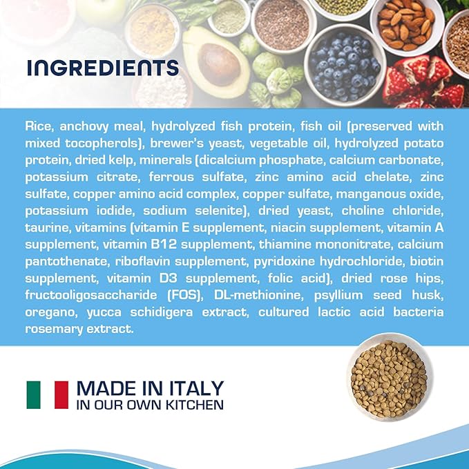 Forza10 Active Intestinal Support Diet Dry Cat Food for Adult Cats, Cat Food Dry for Upset Stomach, Diarrhea and Intestinal Disorders, Wild Caught Anchovy Flavor, 4 Pound Bag