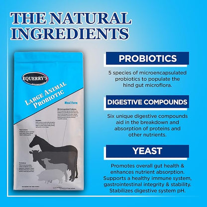 Equerry's Large Animal Probiotic | Supplements for Gut Health and Nutrient Absorption | Probiotics and Digestive enzymes for Horses, Cows, Goats, Sheep, Pigs, 160 Feedings (20lbs) for 1000 lb Animal