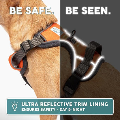 Embark Adventure Dog Harness, Reflective Trim No Pull Dog Harnesses for Small Sized Dogs - Military Grade Nylon, Front Clip with Gel Lined Handle.