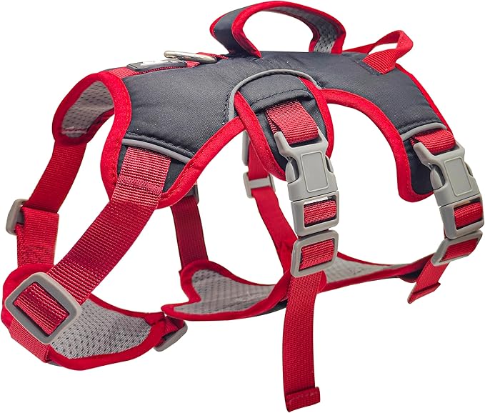 Escape Proof Dog Harness, No Pull Reflective Adjustable Vest with Easy Control Lift Handle, No Choke Soft Padded Breathable Full Body Pet Harness for Walking Hiking and Training (Red, Small)