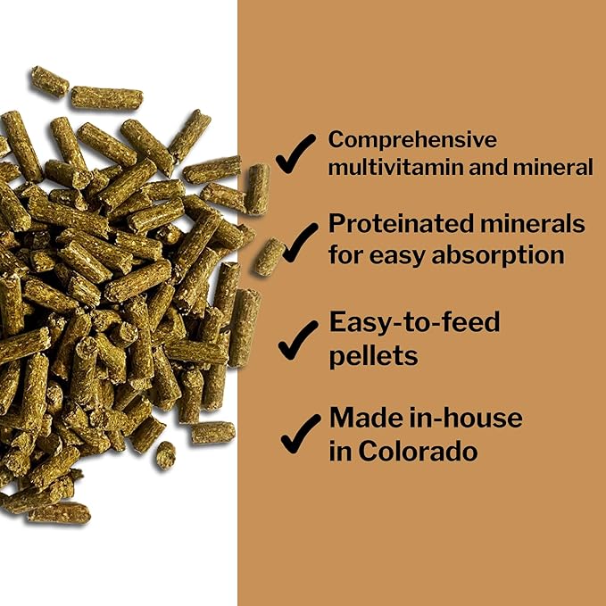 Formula 707 Daily Essentials Equine Supplement, 12 lb Bag – Complete Vitamins and Minerals for Superior Health and Condition in Horses