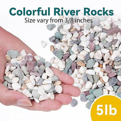 5 lbs Natural Pea Gravel Pebbles for Aquarium, Fish Tank, 3/8 inch Decorative Pebbles for Indoor Plants, Succulent, Bamboo, Vase, Drainage Rocks for Potted Plants, Top Dressing, Mixed Color
