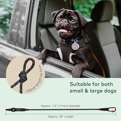 Dog Seat Belt for Car | Universal Dog Car Seatbelt | Durable Reflective Rope with Clip Hook Latch, Buckle and Alloy Carabiner- Safe and Secure Pet Safety Restraint