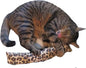 15" Leopard Print Catnip Cat Kicker Toy with Refillable Pocket (Kickers Filled with 1 oz Premium Canadian Catnip)