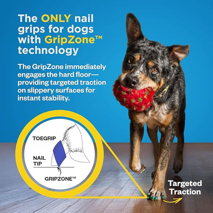 Dr Buzby's Medium ToeGrips for Dogs - Instant Traction on Wood/Hardwood Floors - Anti Slip Relief - Grippers for Senior Dogs - Stop Sliding Instantly - Rubber Nails for Paws - 1 Pack (20 Grips)