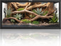 50 Gallon Bearded Dragon Tank, Reptile Enclosure for Easy Maintenance, Front Opening Reptile Tank with Top Screen Ventilation & Glass Sliding Door 36''x18''x18''