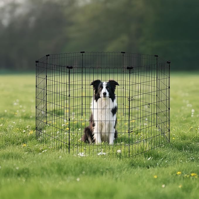 Amazon Basics Foldable Octagonal Metal Exercise Dog Playpen - Indoor/Outdoor, No Door, Large (8 Panels, 24 x 42), Easy to assemble, store, and customize, 42" - Large, Black
