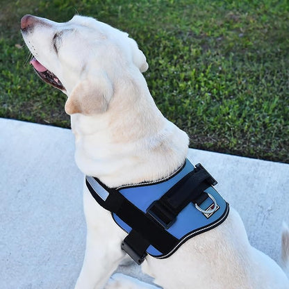 Dogline Dog Harness, Reflective No-Pull Adjustable Vest with Handle for Walking, Training, Breathable, No - Choke Harness for Small, Medium or Large Dogs Room for Patches Girth 33"-46" in Cyan Blue