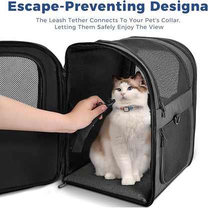 Apollo Walker Pet Carrier Backpack for 4-15lb Cats and Dogs, Puppies, Safety Features and Cushion Back Support | for Travel, Hiking, Outdoor Use (Gray)