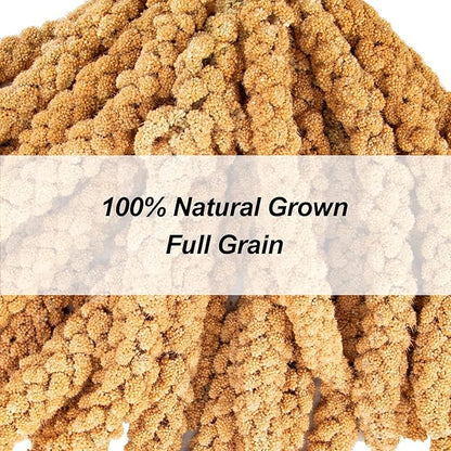 Amzey 5.5 LB Spray Millet for Parakeets, 100% Natural Dried Millet Grain for Birds, Non-GMO Bird Treat for Cockatiel, Finches, Parrots & Lovebirds