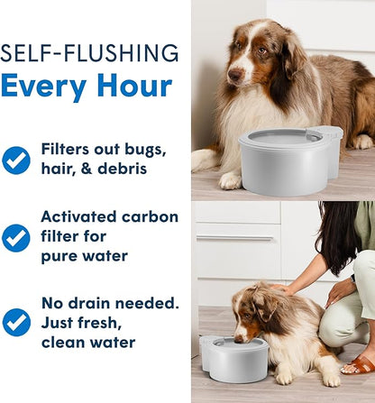 Always Full® 9" Pet Water Bowl and Wall Unit Bundle – Self-Refilling, Clean Filtered Water, Easy Home Connection, App-Enabled Hydration Tracking, Cat and Dog Water Bowls