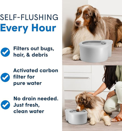 Always Full® 9" Pet Water Bowl and Bottle Pump Bundle, Self-Refilling, Clean Filtered Water, App-Enabled Hydration Monitoring, Easy Upgrade to Wall Unit, Cat and Dog Water Bowls