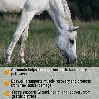 Absorbine Bute-Less Performance Advanced Formula Horse Supplement Pellets, Supports Healthy Inflammatory Response & GI Tract, 3.75lb Tub / 30 Day Supply