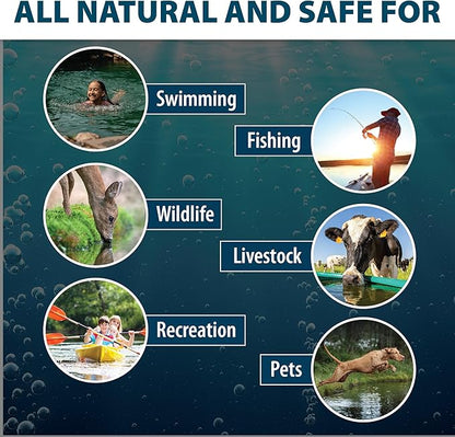 Airmax Nature's Blue Pond Dye 4X Concentrate for Outdoor Ponds & Lakes, Natural Pond Colorant & Beauty Enhancer, Block Ultraviolet Rays, Fish, Bird & Livestock Safe, Easy Liquid Application, 1 Quart