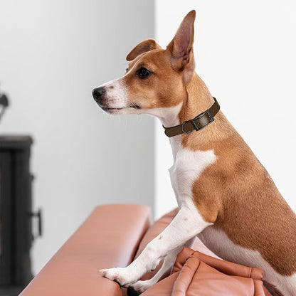 Dogline Biothane Waterproof Dog Collar Strong Coated Nylon Webbing with Black Hardware Odor- Proof for Easy Care Easy to Clean High Performance Fits Small Medium or Large Dogs, Dark Chocolate Brown