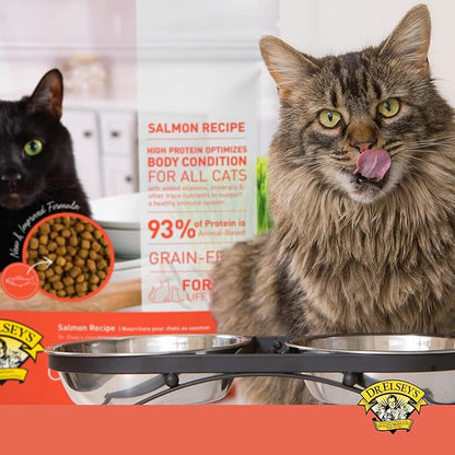 Dr. Elsey's Cleanprotein Salmon Formula Dry Cat Food, 6.6 Lb