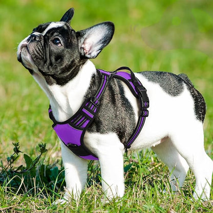 Eagloo Dog Harness Small Sized Dog, No Pull Service Vest with Reflective Strips and Control Handle, Adjustable and Comfortable for Walking, No Choke Pet Harness with 2 Metal Rings, Purple, S