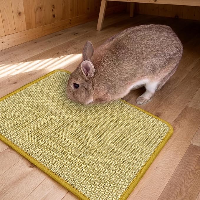 DYAUS Rabbit Scratching Pad, Sisal Bunny Scratch Pad, Natural Rabbit Foraging Mats for Cages, Indoor Bunny Toys Accessories for Bedding Biting Sleeping Resting (2PCS, 16x12in)