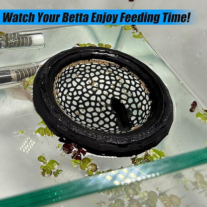 Aquarium Floating Betta Fish Skins, Betta or Shrimp Feeder, Cave and Hammock, Small Fish Feeding Rings, Aquarium Hiding Feeding Decorative Accessories (Green)