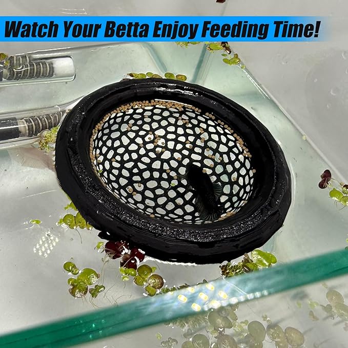Aquarium Floating Betta Fish Skins, Betta or Shrimp Feeder, Cave and Hammock, Small Fish Feeding Rings, Aquarium Hiding Feeding Decorative Accessories (White)