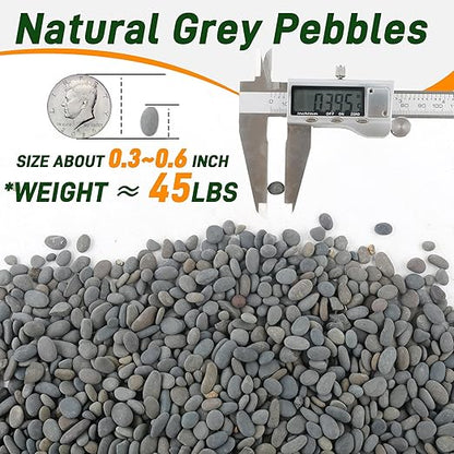 5 lbs Mexican Beach Pebbles, 0.3-0.6 Inch Small Pebbles for Pots Indoor Plants, Succulent, Vase, Fish Tank, Decorative River Rocks for Garden Landscaping, Home Decor, Outdoor Paving, Grey