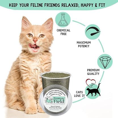 from The Field | Fine Ground Stalkless Catnip | Premium USA-Grown Catnip for Toys & Playtime | Fresh, Potent, Non-Toxic, Eco-Friendly | Safe for Kittens & Cats | Resealable 3.5 oz Tub
