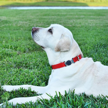 Dogline Biothane Waterproof Dog Collar with Herm Sprenger Black Stainless Steel Quick Release Buckle – Heavy Duty Tactical Durable Collar for Dogs – Comfortable and Safe Pet Collar W 3/4" L 12-19" Red