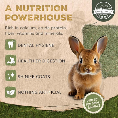 10lb Freshly Dried Organic Alfalfa Hay for Guinea Pigs, Rabbits, Chinchillas, Goats, Hamsters & Ferrets, Small Animal Food Rich in Protein & Fiber, Hand-Selected, Hand sorted, USA Grown